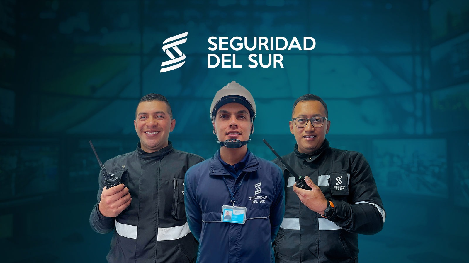 Vigilancia Profesional